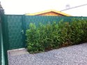 Taśma ogrodzeniowa PASKI 6 x 2,55mb SMART 19cm PROTECTO ZIELONA + 12 klipsów GRATIS
